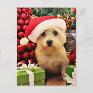 Jul - röseTerrier - Roxy Helg Vykort