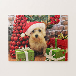 Jul - röseTerrier - Roxy Pussel