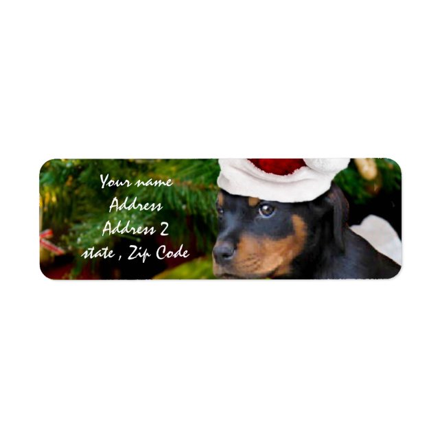 Jul Rottweiler-valp Returadress Etikett (Framsidan)
