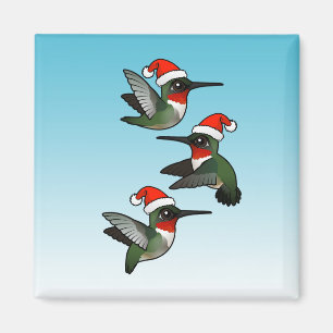 Jul-ruby-throated Hummingbird Magnet