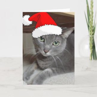 Jul, ryskt blått Grått Cat Helgkort