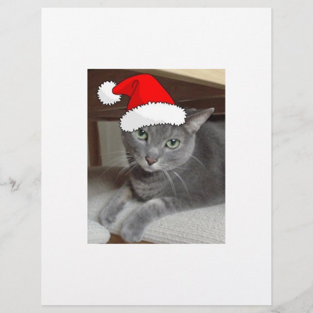 Jul, ryskt blått Grått Cat Reklamblad (Framsidan)