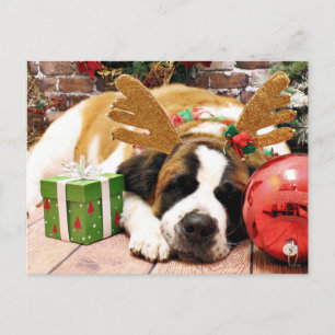 Jul - Saint Bernard - Blue Helg Vykort