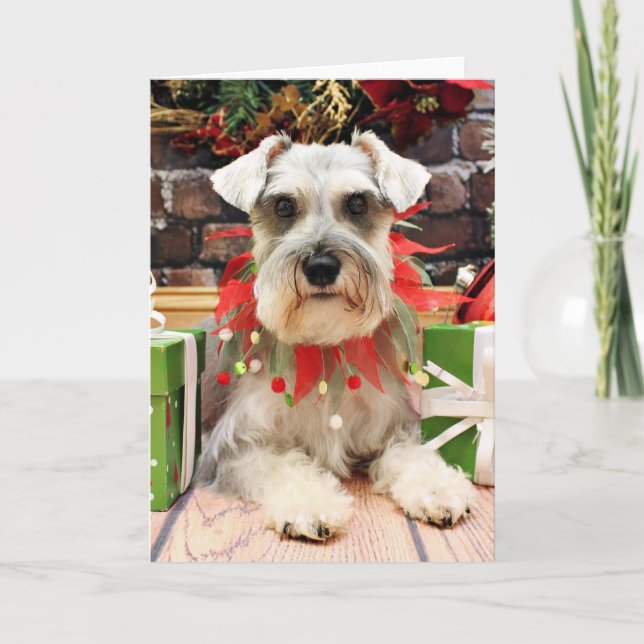Jul - Schnauzer - Abby Helgkort (Framsida)