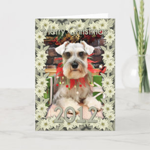 Jul - Schnauzer - Abby Helgkort