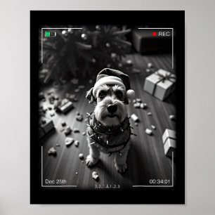 Jul Schnauzer fångad på kamera  Poster