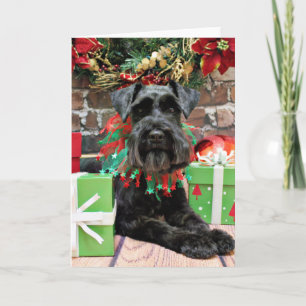 Jul - Schnauzer - Fergie Helgkort