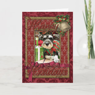 Jul - Schnauzer - Joey Helgkort