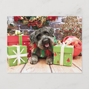 Jul - Schnoodle - Dexter Helg Vykort