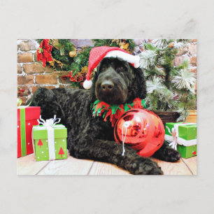 Jul - Schnoodle - Zeus Helg Vykort