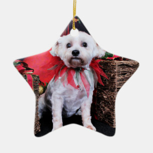 Jul - Schnoodle - Zoey Julgransprydnad Keramik