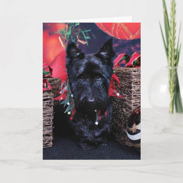 Jul - Scottie - Paisley Helgkort (Framsida)