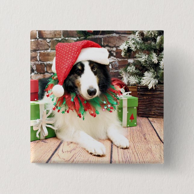 Jul - Sheltie - bandit Knapp (Framsida)