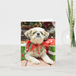 Jul - Shih Tzu - Bailey Helgkort