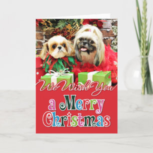 Jul - Shih Tzu - Earl and Opal Helgkort