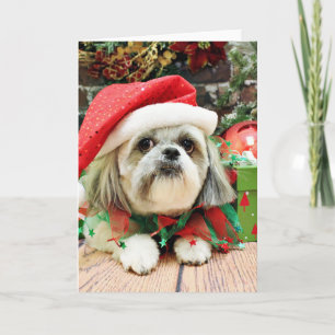 Jul - Shih Tzu - Gizmo Helgkort