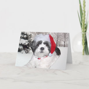 Jul Shih Tzu Helgkort