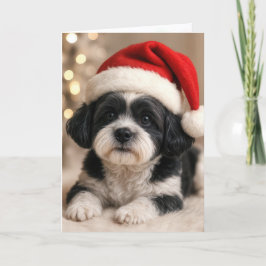 Jul-Shih Tzu-hund med tomtehatt Kort