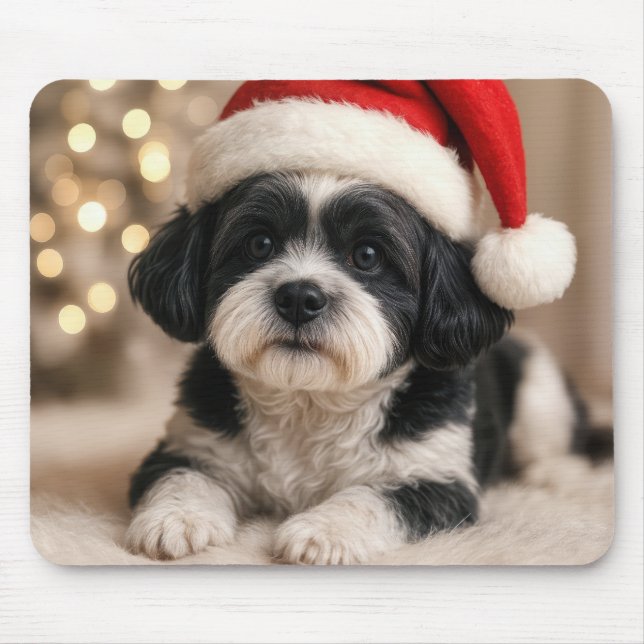 Jul-Shih Tzu-hund med tomtehatt Musmatta (Framsidan)