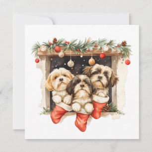 Jul Shih Tzu Hundar Julkort