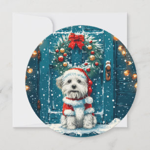 Jul Shih Tzu Hundar Julkort