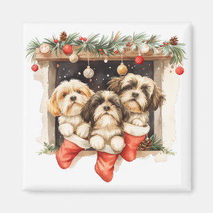 Jul Shih Tzu Hundar Magnet