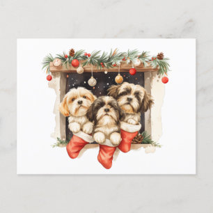 Jul Shih Tzu Hundar Vykort