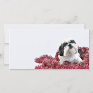 Jul Shih Tzu Julkort
