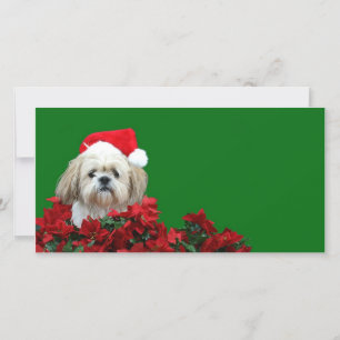 Jul Shih Tzu Julkort