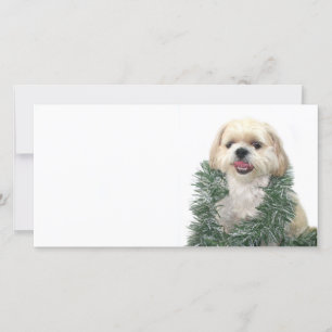 Jul Shih Tzu Julkort
