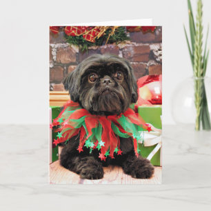 Jul - Shih Tzu - Lily Helgkort