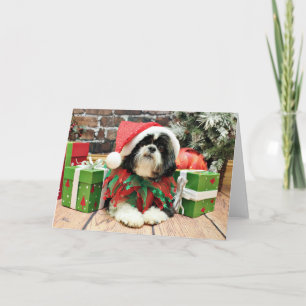 Jul - Shih Tzu - Riley Helgkort