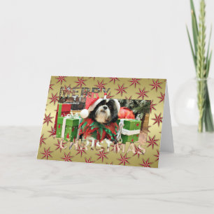 Jul - Shih Tzu - Riley Helgkort