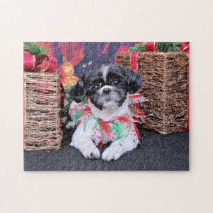 Jul - Shih Tzu - Sadie Pussel