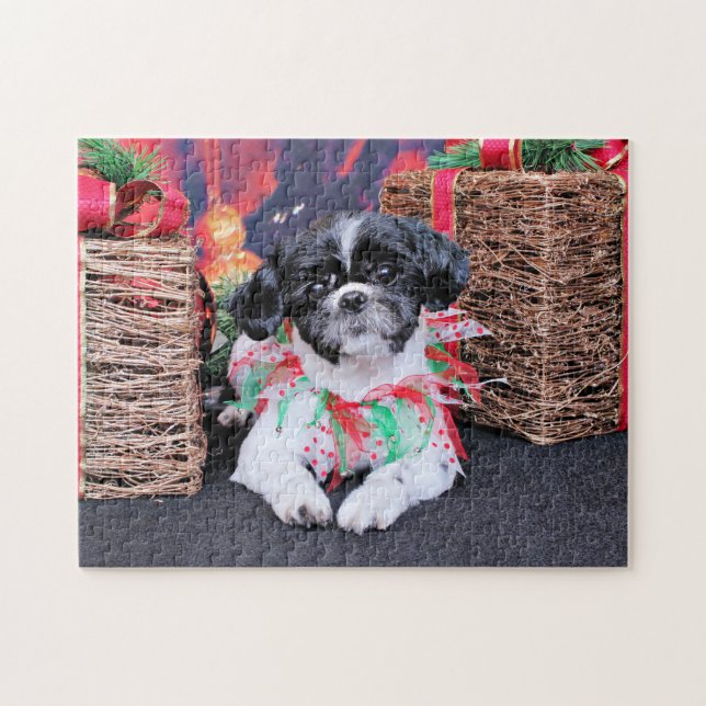 Jul - Shih Tzu - Sadie Pussel (Horisontell)