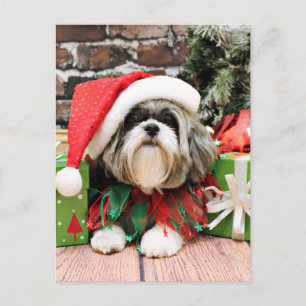 Jul - Shih Tzu - Vince Helg Vykort