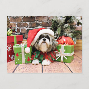Jul - Shih Tzu - Vince Helg Vykort