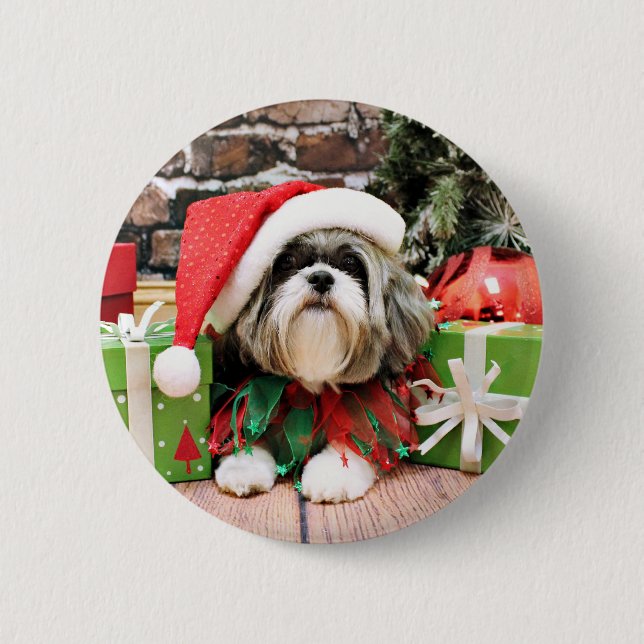Jul - Shih Tzu - Vince Knapp (Framsida)