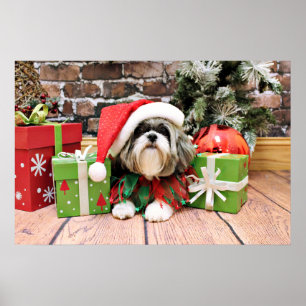 Jul - Shih Tzu - Vince Poster