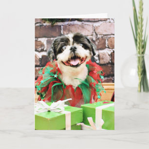 Jul - Shih Tzu X - Sunny Helgkort