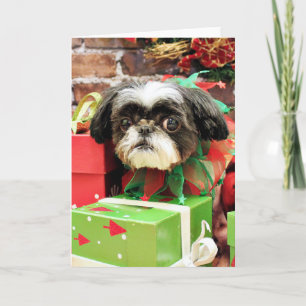 Jul - Shih Tzu - Yogi Helgkort