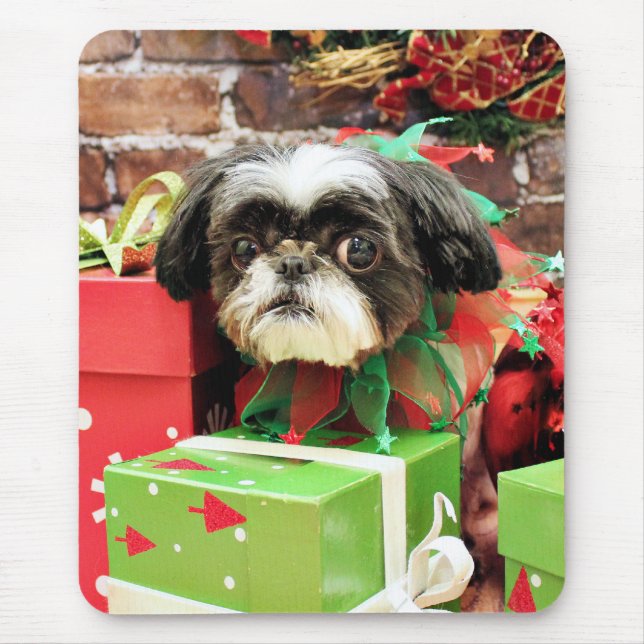 Jul - Shih Tzu - Yogi Musmatta (Framsidan)