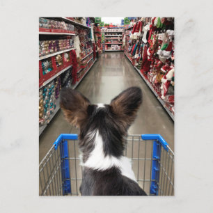 Jul Shopping Chihuahua Vykort