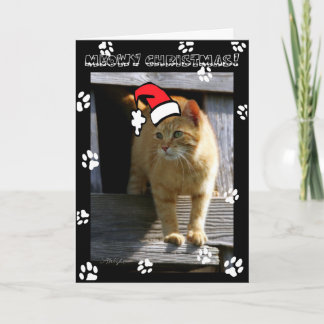 Jul SHORTY5X7 Helgkort