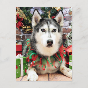 Jul - Siberian husky - Nika Helg Vykort