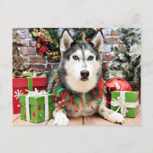 Jul - Siberian husky - Nika Helg Vykort