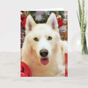 Jul - Siberian husky - Teagarden Porträtt Helgkort