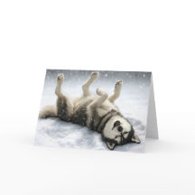 Jul Sibirisk Husky Gör en Snöängel