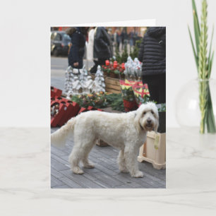 Jul Sloane Square London Hundfotografering Kort