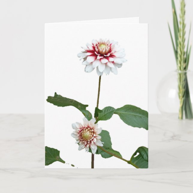 Jul Snö Dahlias Helgkort (Framsida)